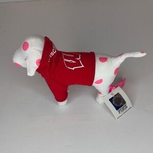 PINK Victoria's Secret plush dog with UW Wisconsin hoodie